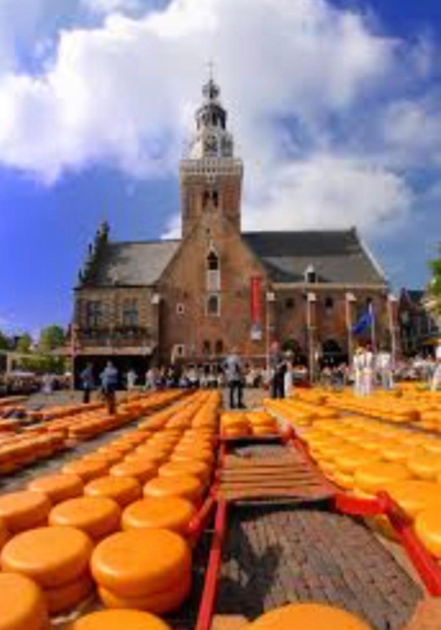 Huisje Britt Met Grote Tuin En Veel Privacy Dirkshorn Exterior photo