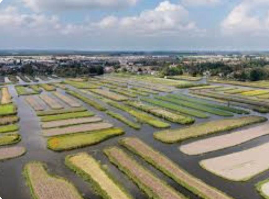Huisje Britt Met Grote Tuin En Veel Privacy Dirkshorn Exterior photo